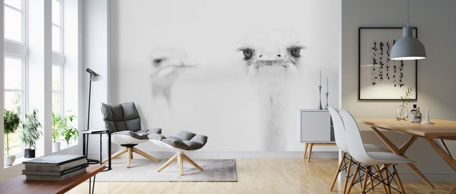 PHOTOWALL / Ostrich Black and White (e320711)