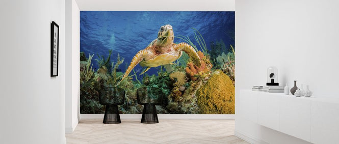PHOTOWALL / Hawksbill Turtle Swimming (e320727)