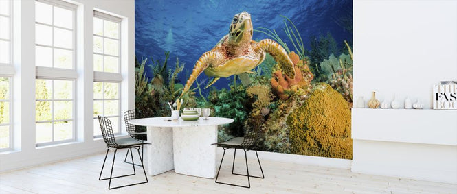 PHOTOWALL / Hawksbill Turtle Swimming (e320727)