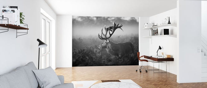 PHOTOWALL / Antler (e320752)