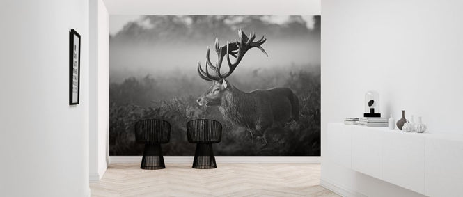 PHOTOWALL / Antler (e320752)