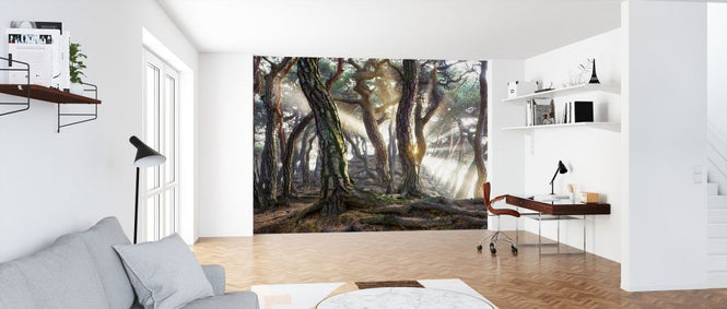 PHOTOWALL / Sunlight in the Woods (e320758)