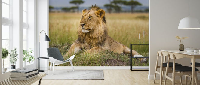 PHOTOWALL / King (e321731)