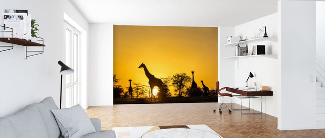 PHOTOWALL / Giraffe Journey (e321750)