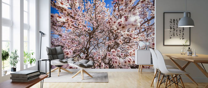 PHOTOWALL / Spring Blooms (e321802)