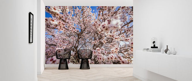 PHOTOWALL / Spring Blooms (e321802)