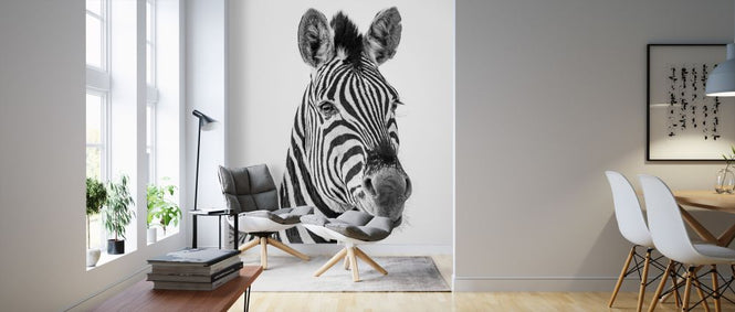 PHOTOWALL / Zebra Dazzle III (e321827)