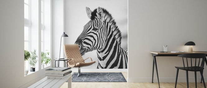 PHOTOWALL / Zebra Dazzle IIII (e321828)