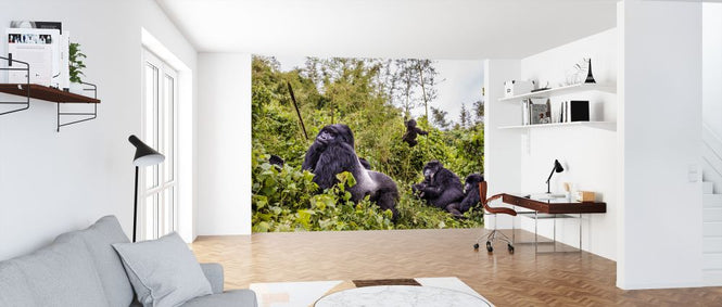 PHOTOWALL / Family Fun (e321835)