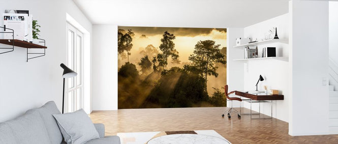 PHOTOWALL / Rainforest Light (e321851)