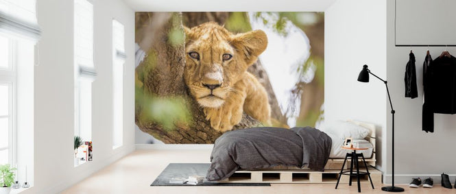 PHOTOWALL / Eye Contact (e321865)