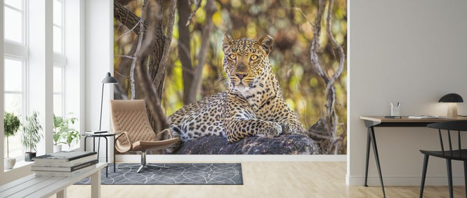 PHOTOWALL / Alert (e321879)