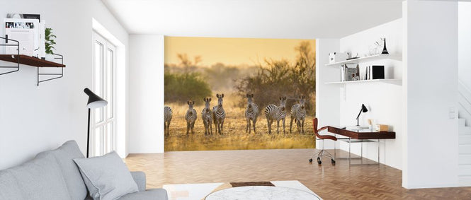 PHOTOWALL / Dazzle (e321888)