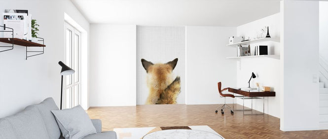 PHOTOWALL / Baby Fox Tail (e322754)