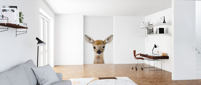 PHOTOWALL / Baby Deer (e322756)