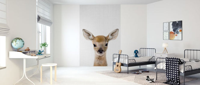 PHOTOWALL / Baby Deer (e322756)