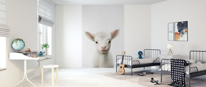 PHOTOWALL / Lamb (e322757)
