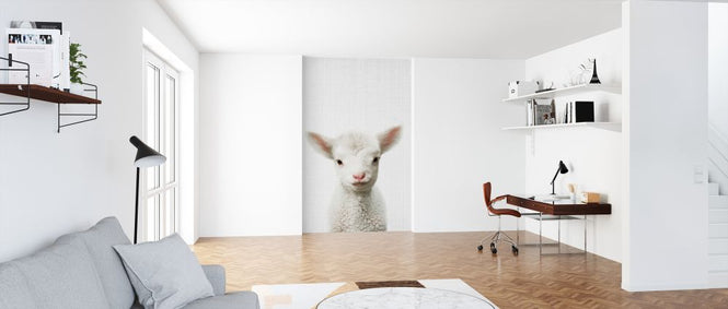 PHOTOWALL / Lamb (e322757)