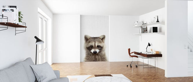 PHOTOWALL / Raccoon (e322761)