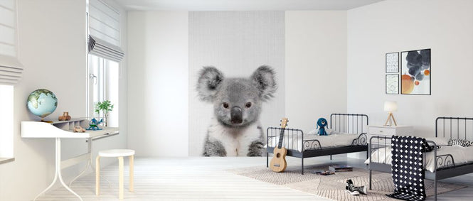 PHOTOWALL / Baby Koala (e322766)