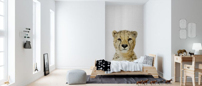 PHOTOWALL / Cheetah (e322768)
