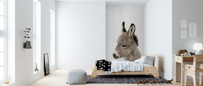 PHOTOWALL / Baby Donkey (e322772)