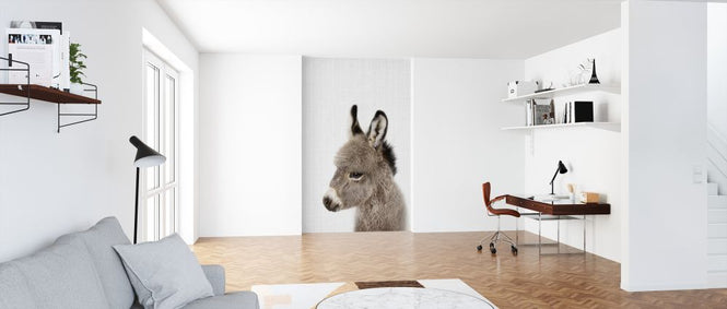 PHOTOWALL / Baby Donkey (e322772)