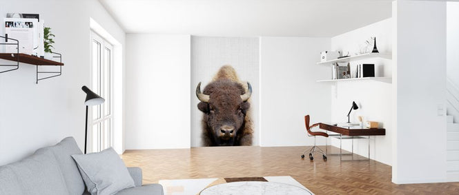 PHOTOWALL / Buffalo (e322773)