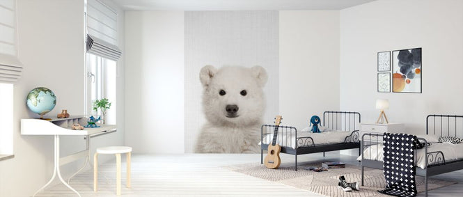 PHOTOWALL / Baby Polar Bear (e322777)