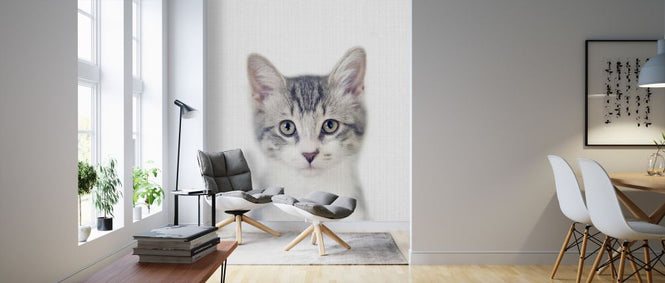 PHOTOWALL / Kitten (e322778)