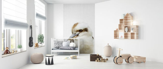 PHOTOWALL / Kookaburra (e322791)