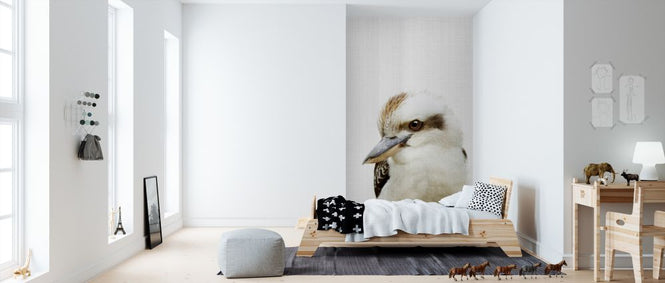 PHOTOWALL / Kookaburra (e322791)