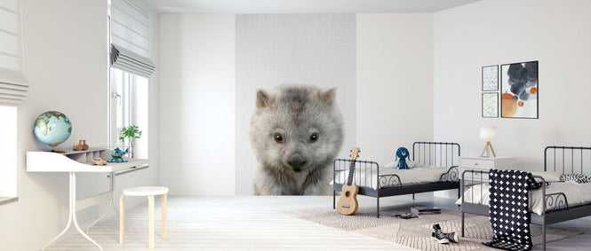 PHOTOWALL / Baby Wombat (e322794)