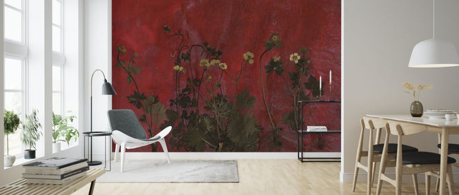 PHOTOWALL / Meadow (e323111)