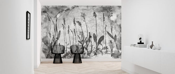 PHOTOWALL / Orchidaceae (e323117)