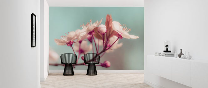 PHOTOWALL / Cherry Blossom (e321078)