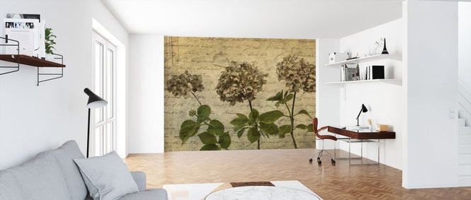PHOTOWALL / Hydrangea (e321081)