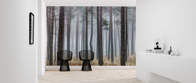 PHOTOWALL / Into the Pine Forest (e321111)