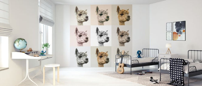PHOTOWALL / Alpacas and Alcapas (e321123)