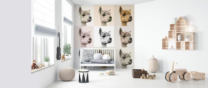 PHOTOWALL / Alpacas and Alcapas (e321123)