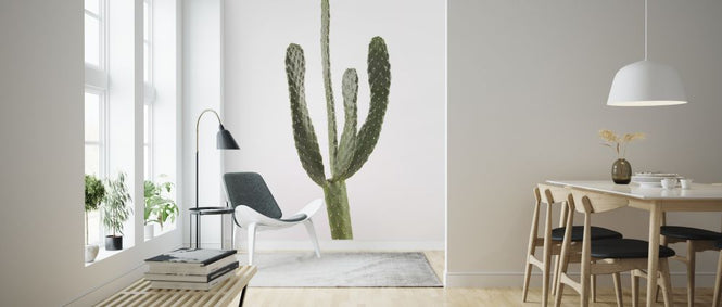 PHOTOWALL / Cacti - White (e321126)