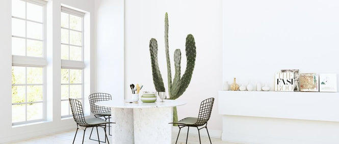 PHOTOWALL / Cacti - White (e321126)
