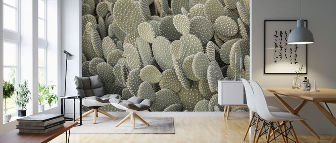 PHOTOWALL / Cacti (e321127)