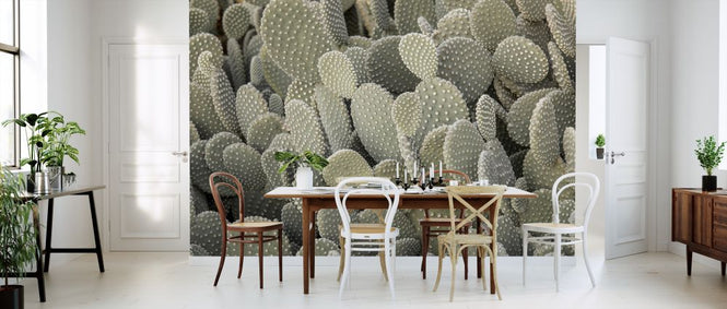 PHOTOWALL / Cacti (e321127)