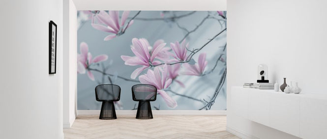 PHOTOWALL / Lovely Magnolias (e321131)