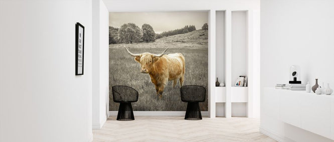 PHOTOWALL / Noble Highland Cow (e321134)