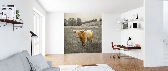 PHOTOWALL / Noble Highland Cow (e321134)