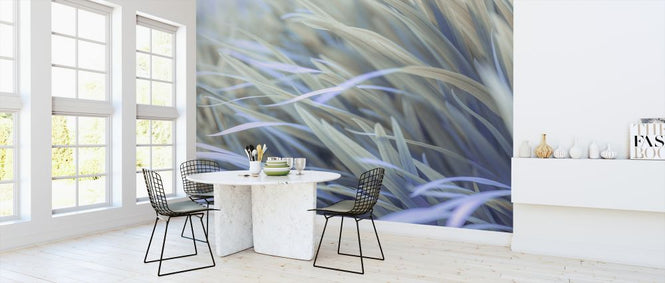 PHOTOWALL / Grass (e321141)