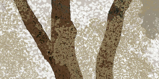 PHOTOWALL / Autum in the Woods (e323381)