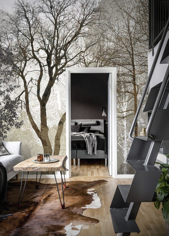 PHOTOWALL / Autum in the Woods (e323381)